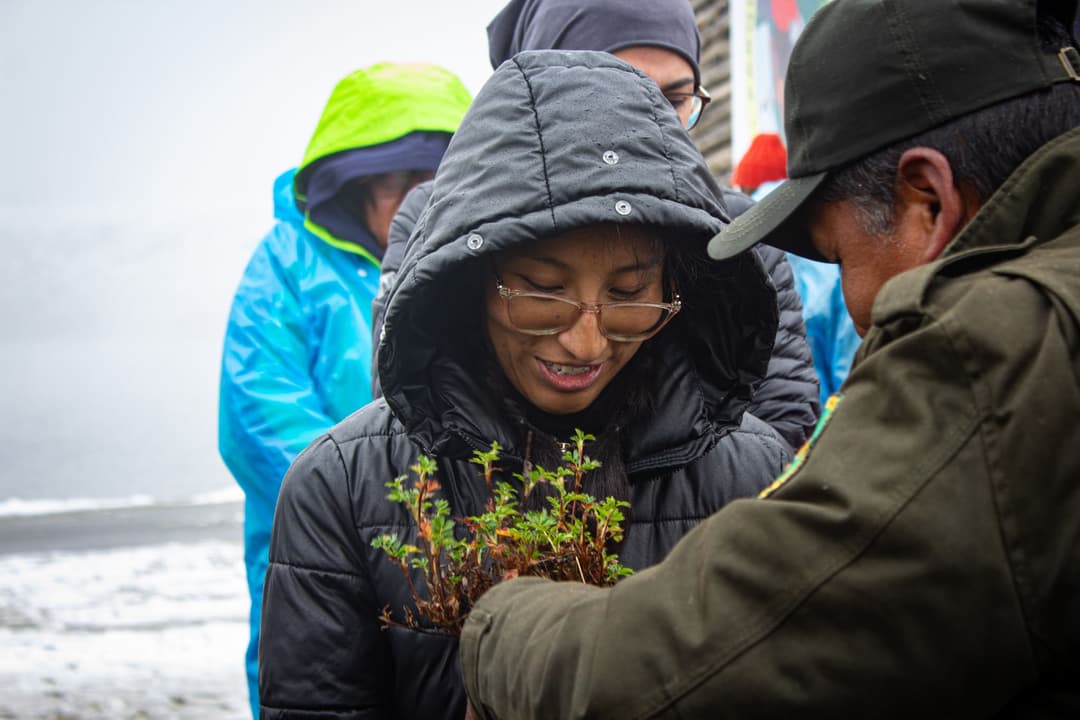 Image of people planting in a community.
