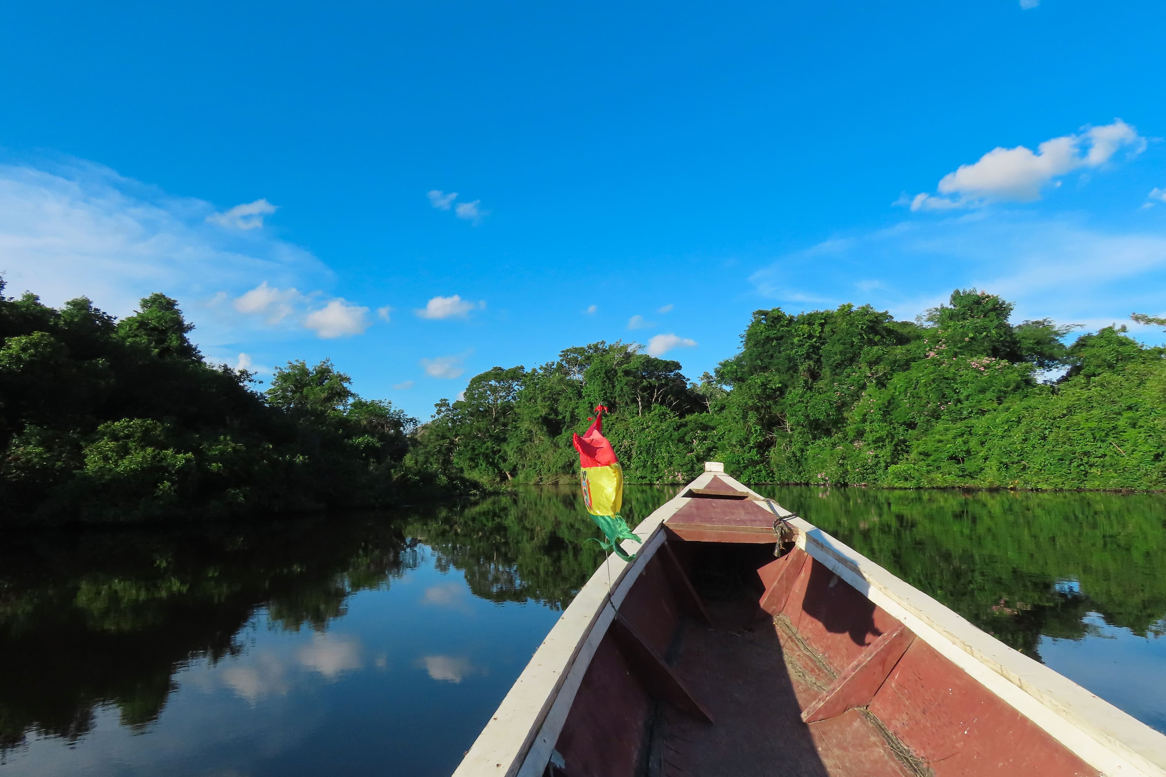Dive into Bolivia’s wild side with a journey through the Amazon, spotting exotic wildlife in the Pampas and exploring the pristine rainforests of Madidi National Park.